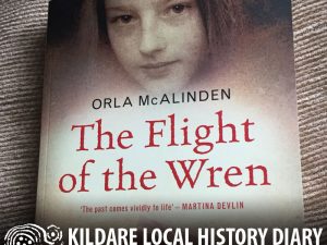 Blending fact with fiction - recent works on the Curragh Wrens @ Old Band Hall | Curragh Camp | County Kildare | Ireland