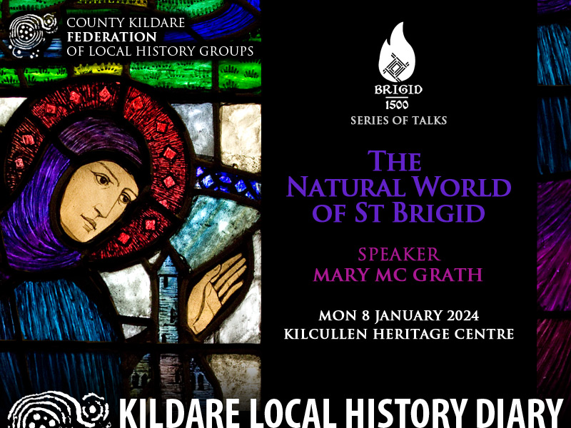 The Natural World of St Brigid