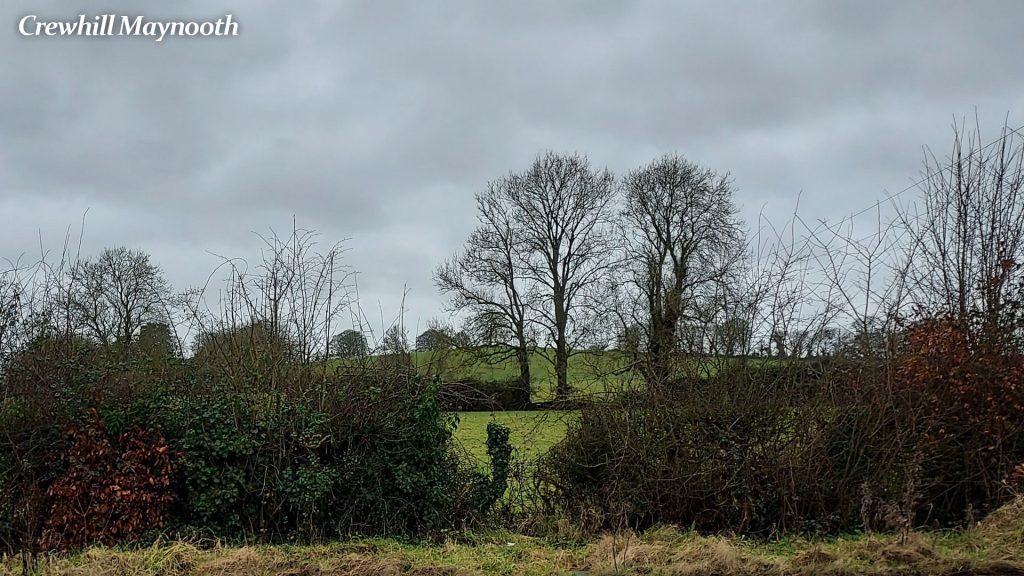 Crewhill, Maynooth, Co. Kildare